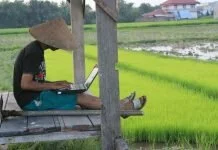 Memulai usaha didesa, yang sudah ada apa baru?