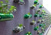 6 Usaha Agro Industri Yang Tidak Membutuhkan Lahan Luas