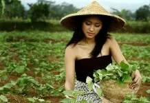 5 Peluang Usaha Pertanian, No 3 Wow Banget!