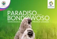 4 Produk Unggulan Yang wajib Dicicip Saat Berwisata Ke Bondowoso-Jawa Timur